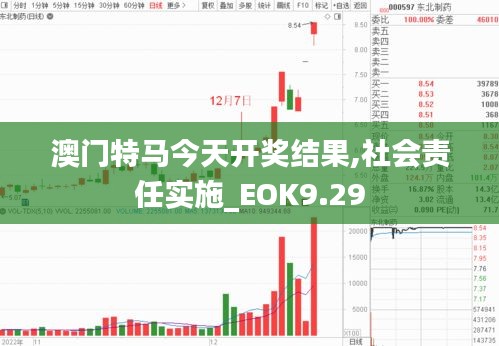 澳门特马今天开奖结果,社会责任实施_EOK9.29