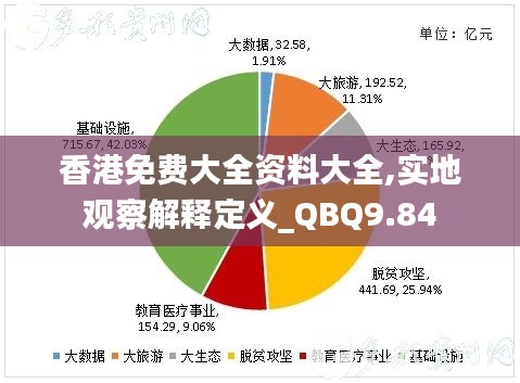 香港免费大全资料大全,实地观察解释定义_QBQ9.84