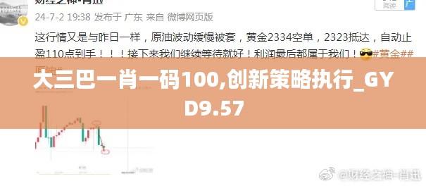 大三巴一肖一码100,创新策略执行_GYD9.57