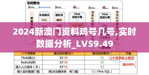 2024新澳门资料鸡号几号,实时数据分析_LVS9.49