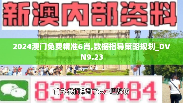 2024澳门免费精准6肖,数据指导策略规划_DVN9.23