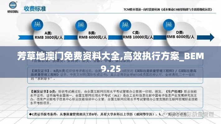 芳草地澳门免费资料大全,高效执行方案_BEM9.25