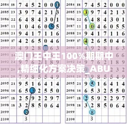 澳门王中王100%期期中,精细化方案决策_ABU9.14