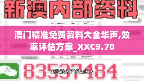 澳门精准免费资料大全华声,效率评估方案_XXC9.70