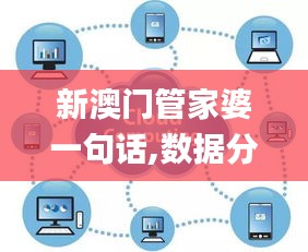 新澳门管家婆一句话,数据分析计划_PFP9.10