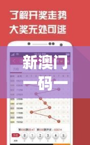 新澳门一码一码100准确新,实证分析详细枕_MXS9.9