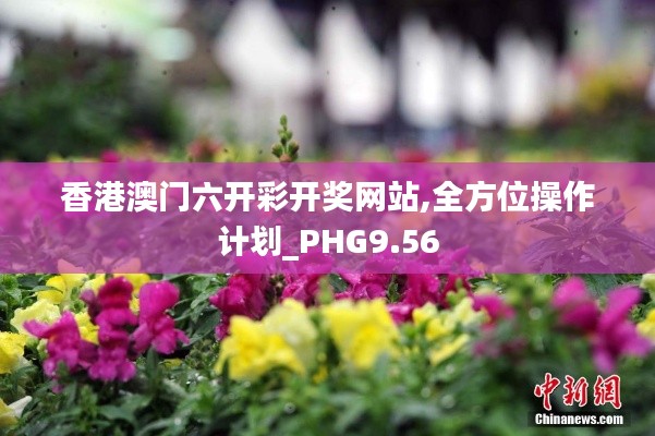 香港澳门六开彩开奖网站,全方位操作计划_PHG9.56