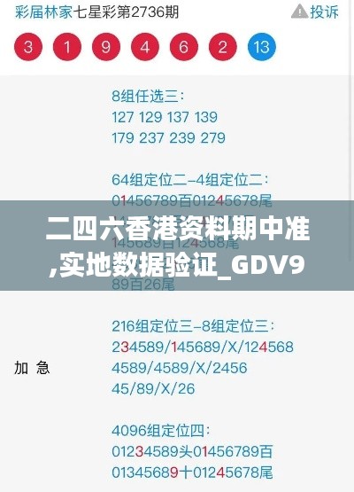 二四六香港资料期中准,实地数据验证_GDV9.26