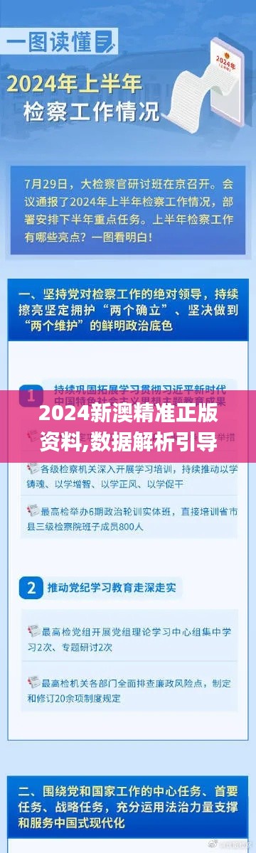 2024新澳精准正版资料,数据解析引导_VEX9.8