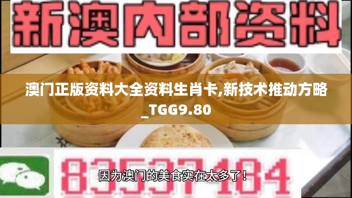 澳门正版资料大全资料生肖卡,新技术推动方略_TGG9.80