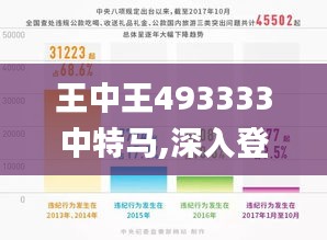 王中王493333中特马,深入登降数据利用_PMS9.60