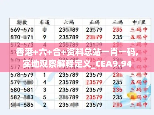 香港+六+合+资料总站一肖一码,实地观察解释定义_CEA9.94