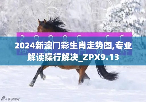 2024新澳门彩生肖走势图,专业解读操行解决_ZPX9.13