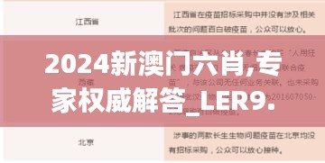 2024新澳门六肖,专家权威解答_LER9.26