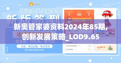 新奥管家婆资料2024年85期,创新发展策略_LOD9.65