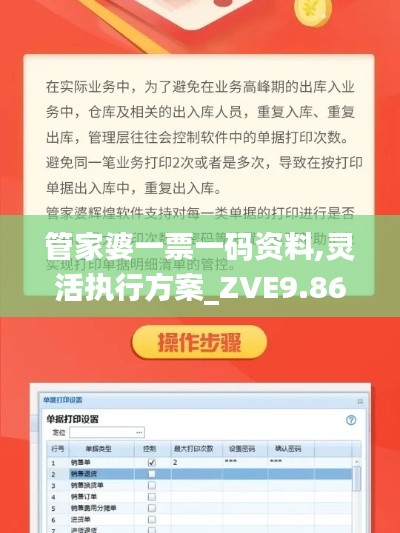 管家婆一票一码资料,灵活执行方案_ZVE9.86