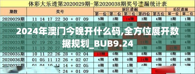 2024年澳门今晚开什么码,全方位展开数据规划_BUB9.24