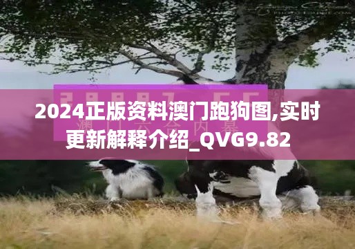 2024正版资料澳门跑狗图,实时更新解释介绍_QVG9.82