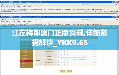 江左梅郎澳门正版资料,详细数据解读_YKK9.65