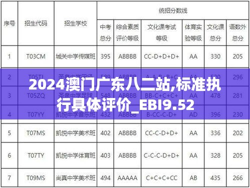 2024澳门广东八二站,标准执行具体评价_EBI9.52