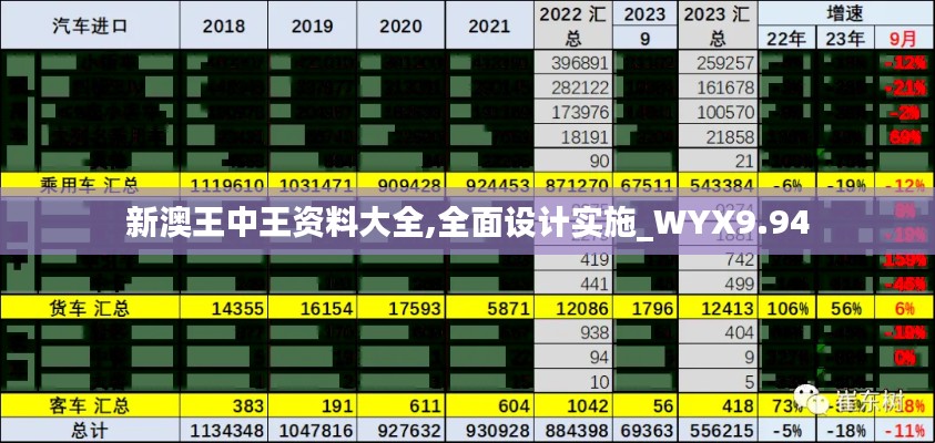 新澳王中王资料大全,全面设计实施_WYX9.94