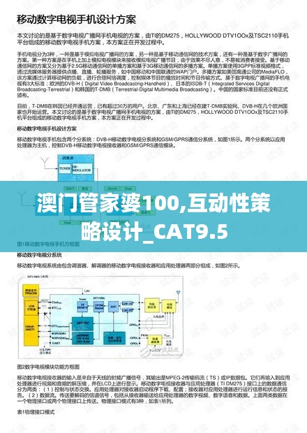 澳门管家婆100,互动性策略设计_CAT9.5