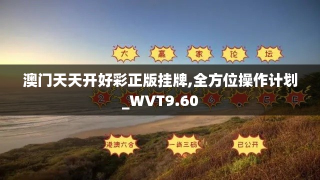 澳门天天开好彩正版挂牌,全方位操作计划_WVT9.60