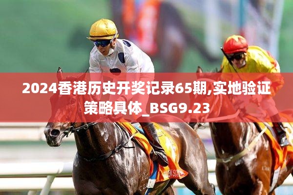 2024香港历史开奖记录65期,实地验证策略具体_BSG9.23