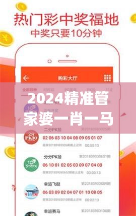 2024精准管家婆一肖一马,持续性实施方案_CYS9.9