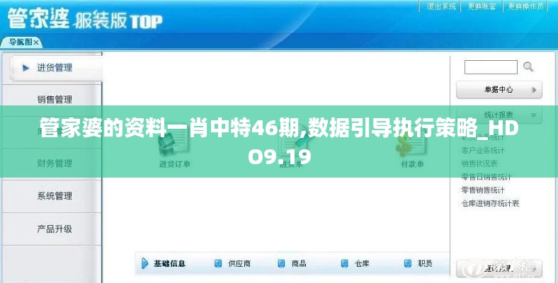 管家婆的资料一肖中特46期,数据引导执行策略_HDO9.19