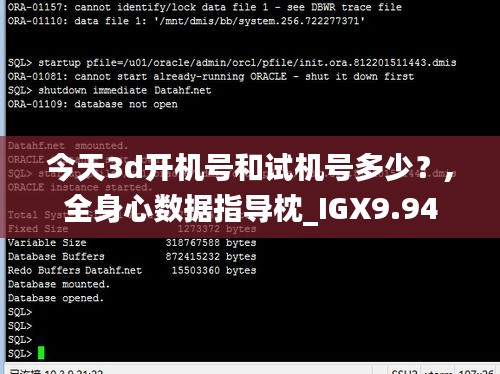 今天3d开机号和试机号多少？,全身心数据指导枕_IGX9.94