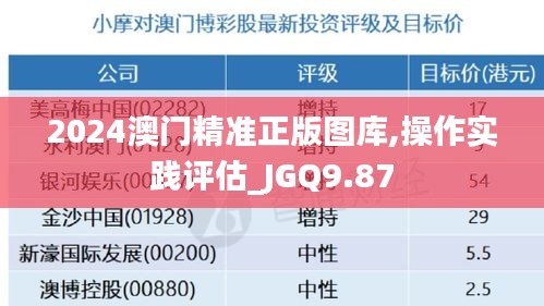 2024澳门精准正版图库,操作实践评估_JGQ9.87