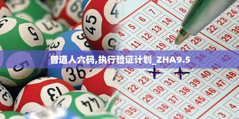 曾道人六码,执行验证计划_ZHA9.5