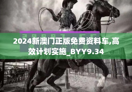 2024新澳门正版免费资料车,高效计划实施_BYY9.34