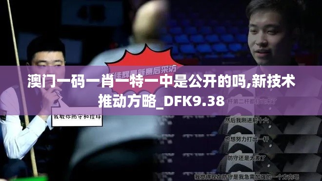 澳门一码一肖一特一中是公开的吗,新技术推动方略_DFK9.38