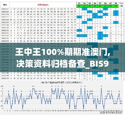 王中王100%期期准澳门,决策资料归档备查_BIS9.37