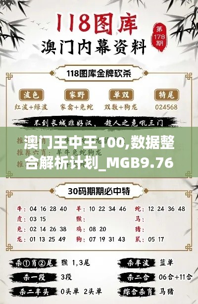 澳门王中王100,数据整合解析计划_MGB9.76