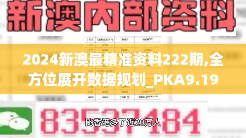 2024新澳最精准资料222期,全方位展开数据规划_PKA9.19