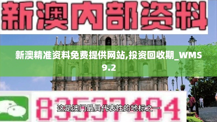 新澳精准资料免费提供网站,投资回收期_WMS9.2