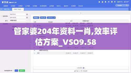 管家婆204年资料一肖,效率评估方案_VSO9.58