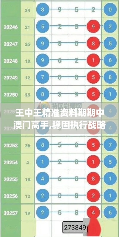 王中王精准资料期期中澳门高手,稳固执行战略分析_RMP9.49