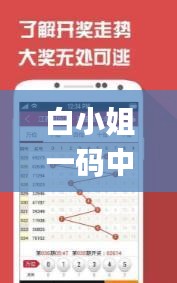 白小姐一码中期期开奖结果查询,稳固执行方案计划_LBA9.90