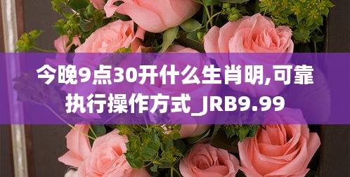 今晚9点30开什么生肖明,可靠执行操作方式_JRB9.99