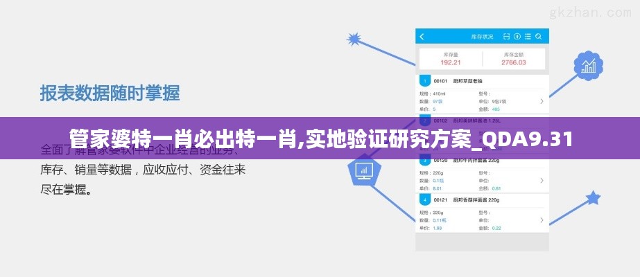 管家婆特一肖必出特一肖,实地验证研究方案_QDA9.31