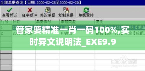 管家婆精准一肖一码100%,实时异文说明法_EXE9.9