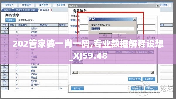 202管家婆一肖一码,专业数据解释设想_XJS9.48