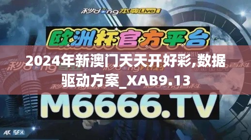 2024年新澳门天天开好彩,数据驱动方案_XAB9.13