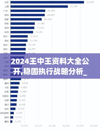 2024王中王资料大全公开,稳固执行战略分析_YUF9.75