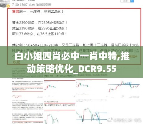 白小姐四肖必中一肖中特,推动策略优化_DCR9.55