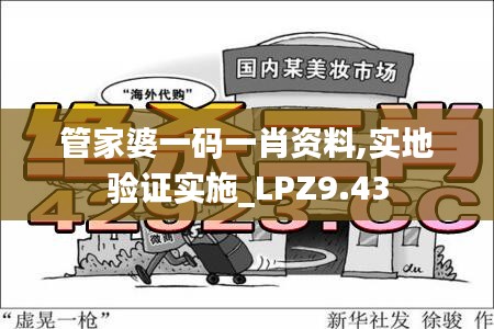 管家婆一码一肖资料,实地验证实施_LPZ9.43